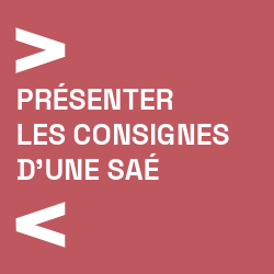 Presenter les consignes d'une SAe Presenter les consignes d'une SAe